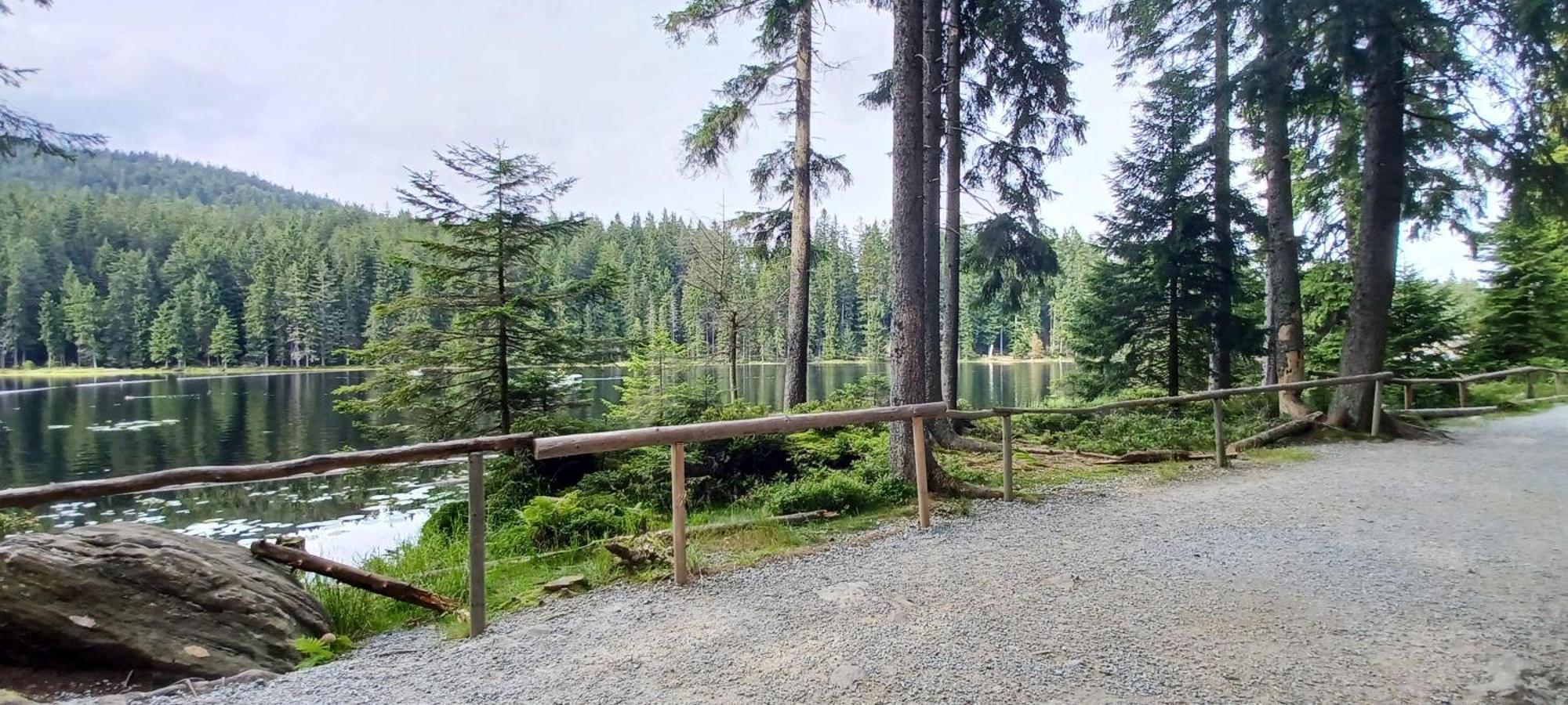 Fewo-Harlachberg-Blick-1 Bodenmais Exteriér fotografie