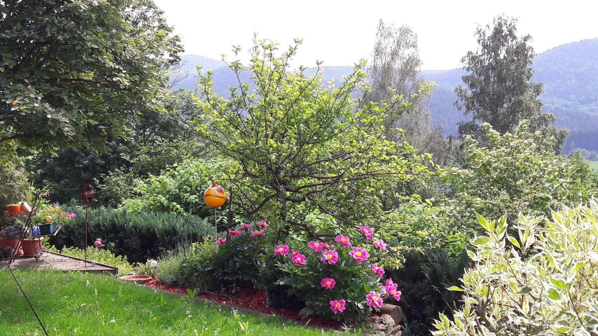 Fewo-Harlachberg-Blick-1 Bodenmais Exteriér fotografie