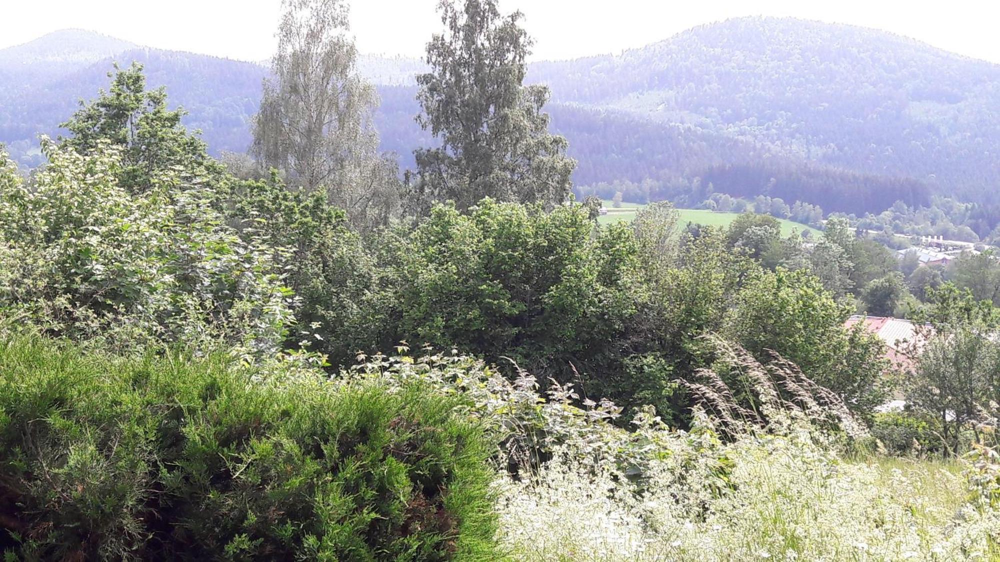 Fewo-Harlachberg-Blick-1 Bodenmais Exteriér fotografie